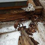 IMG_20160407_162141846
