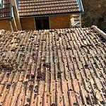 IMG_20160811_185709829