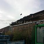 IMG_20170404_092919